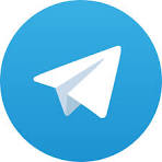 Dream17 Telegram Bot